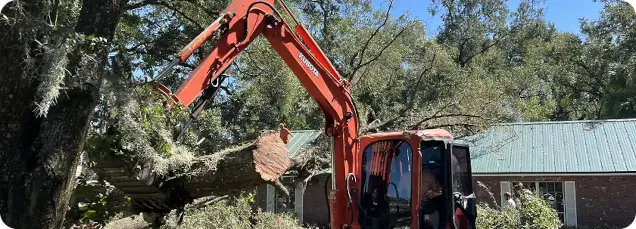 About Grand Oaks Tree Service