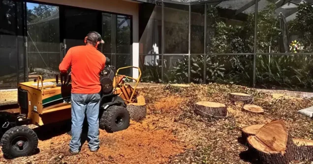Stump Grinding and Florida Landscaping: Creative Solutions for Tampa Bay Yards