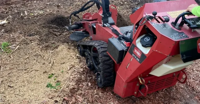 Forestry Mulching in Tampa Bay – The Modern Land Clearing Solution