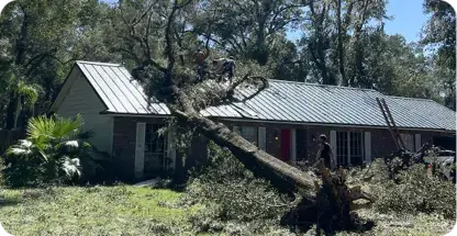 24/7 Emergency Tree Service